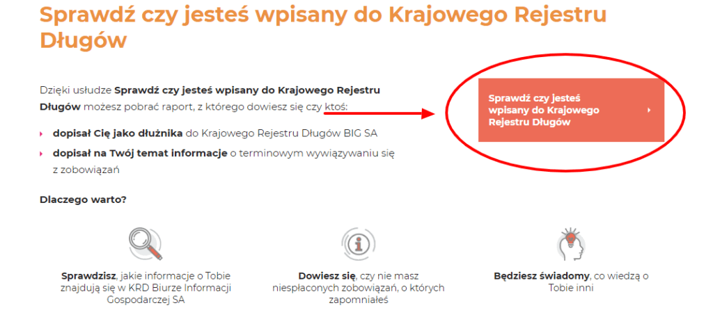 Jak sprawdzić się w KRD - krok 6 - Zamówienie raportu Jak sprawdzić się w KRD - krok 6 - Zamówienie raportu